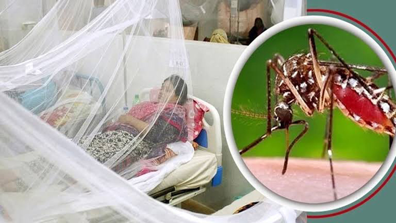 303 more people are hospitalized with dengue in the country