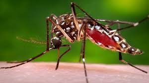 42 people died in the country including one more due to dengue