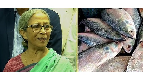 Sorry, can’t send any hilsa to India: Farida Akhtar