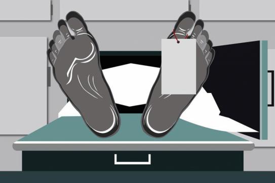 Two brothers were killed in an attack by the enemy in Lohagara