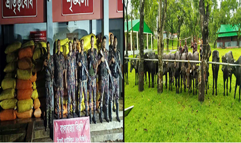 Indian goods worth one and a half crore seized at Sylhet-Sunamganj border