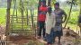 5 skeletons stolen in same night, panic