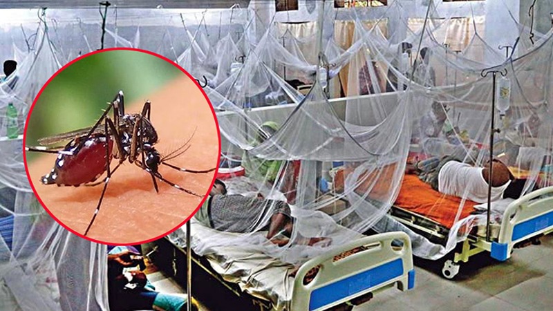 4 more people died due to dengue