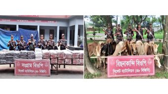 Indian goods-livestock worth about 1.5 million rupees seized from Gowainghat border