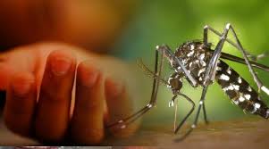 5 more people died of dengue in the country