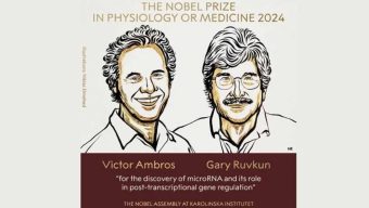 Victor Ambrose and Gary Ravkun won the Nobel Prize in medicine