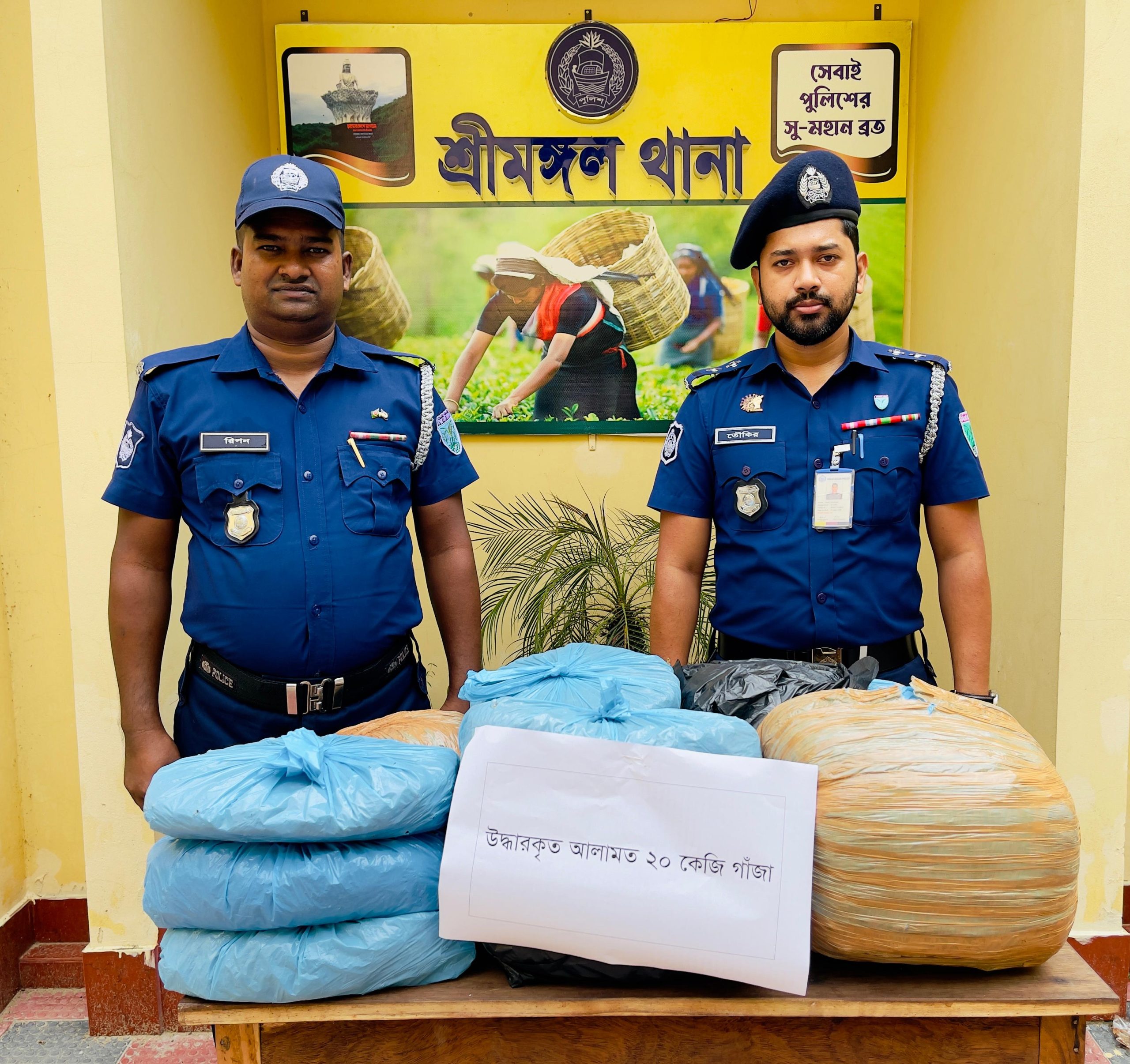 20 kg of ganja recovered from Srimangal