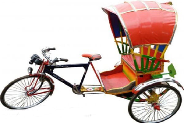 Government appeals against order to stop battery-powered rickshaws