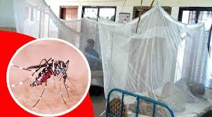 Dengue claims 9 lives in last 24 hours