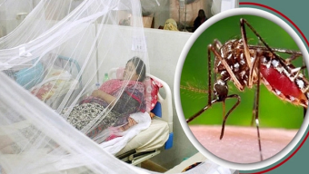 10 people die of dengue in a day in the country