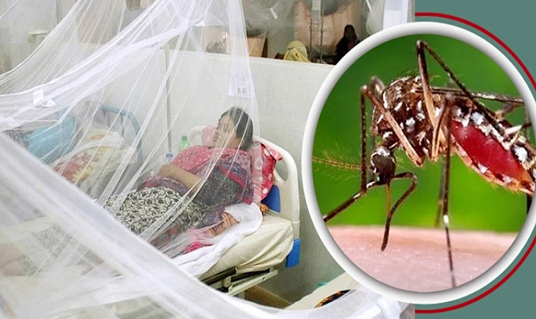 10 people die of dengue in a day in the country