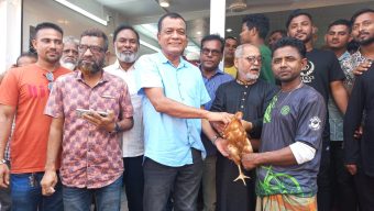 Distribution of eggs and chickens starts at no profit to break the syndicate