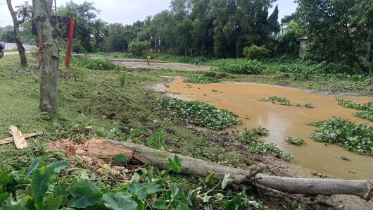 Srimangal’s Dead River Vilas is being encroached!