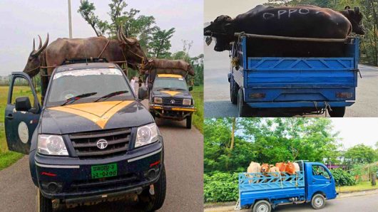 Smuggling trade does not stop at the Jaintapur border!