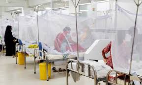 3 more people die of dengue fever