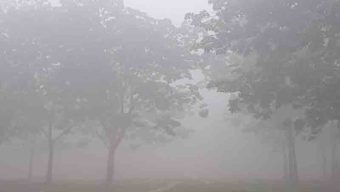 Dense fog increases the intensity of winter