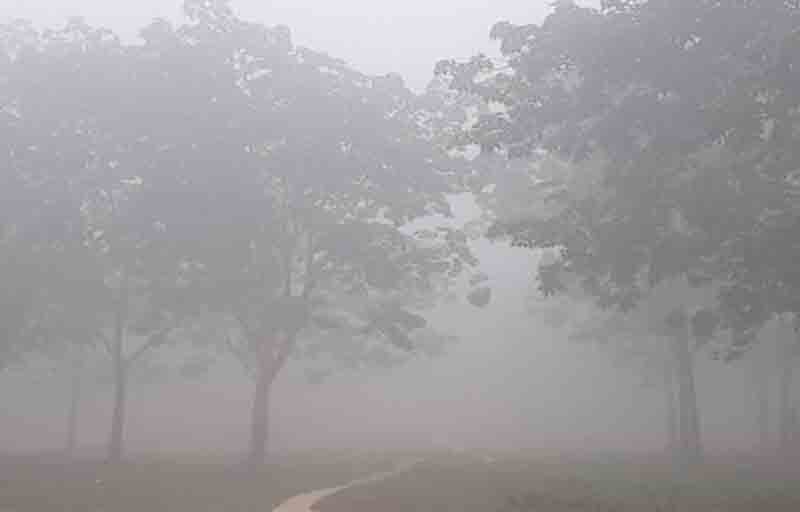 Dense fog increases the intensity of winter