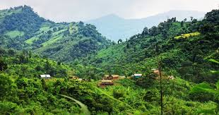Terrorists release 25 workers kidnapped in Bandarban