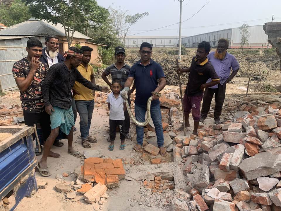 Python came out when the floor of the mosque was broken