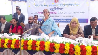 Elections within June 2026: Advisor Farida