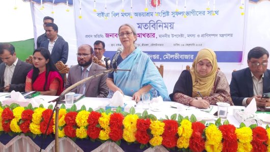 Elections within June 2026: Advisor Farida