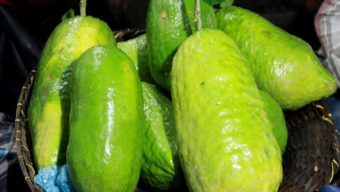 Jaintia’s Zara lemon is gaining popularity both at home and abroad, farmers are self-reliant