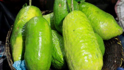 Jaintia’s Zara lemon is gaining popularity both at home and abroad, farmers are self-reliant