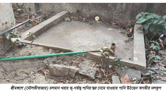 Water level has dropped in Srimangal, locals in distress