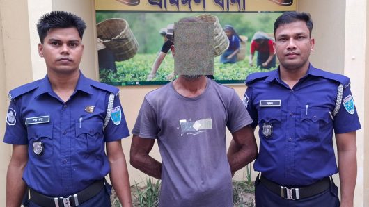 Rural Electricity Authority employee beaten up in Srimangal, 1 arrested