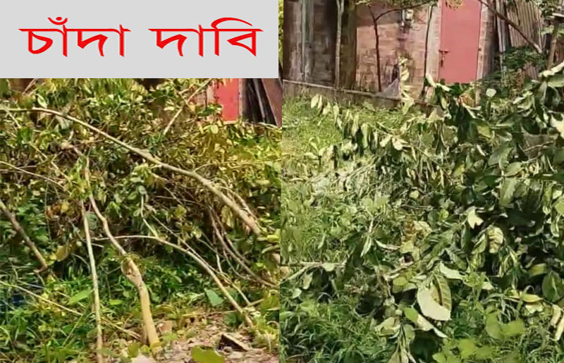 Brother in Sylhet extorts Tk 20 lakh from sister, family in expatriate worried!