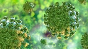 Coronavirus infection is increasing again in India, precautionary measures at the Bangladesh border