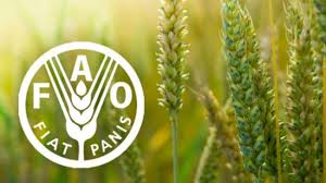 Food prices fall globally