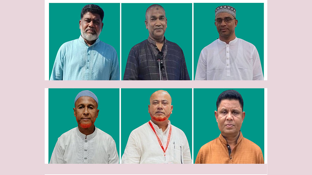 6 more BNP leaders expelled