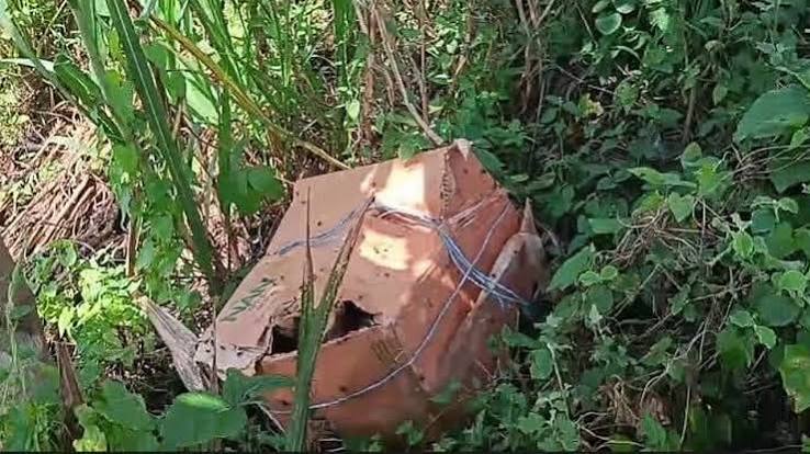 Body Parts Found in six pieces Three Cartons