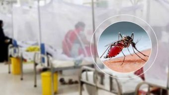 Six more die from dengue in 24 hours