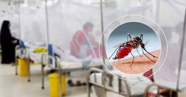 Six more die from dengue in 24 hours