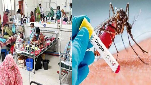 15 Deaths from Dengue and Measles in a Single Day