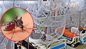 5 More Die from Dengue