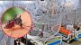 5 More Die from Dengue