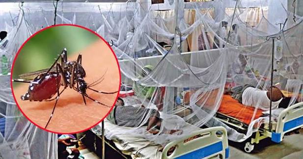 5 More Die from Dengue