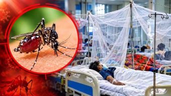 Six more die of dengue in the country