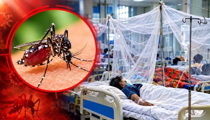 Six more die of dengue in the country
