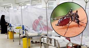 Nine deaths from Dengue in the country in the last 24 hours