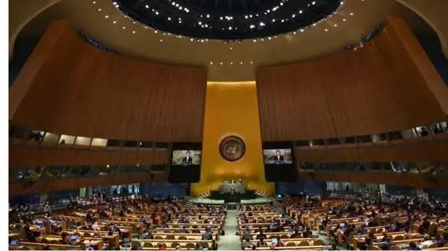 Global food prices at highest level since 2022: UN