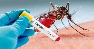 Five More Die of Dengue
