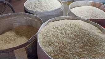 Farmers in the Philippines Discouraged; Rice Production May Decline